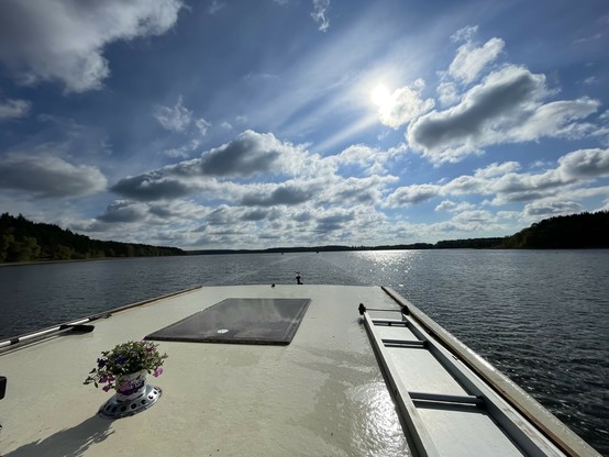 Blick auf den See vom Deck eines Bootes aus, mit klarem Himmel, der Sonne, die sich auf dem Wasser spiegelt, und einem Blumentopf im Vordergrund. 